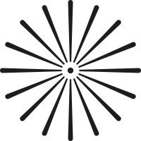 Singular Photonics